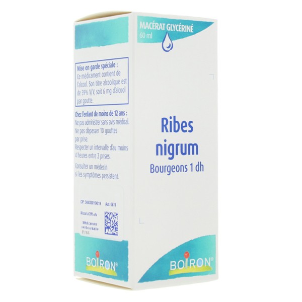 Boiron macérat glycériné Ribes Nigrum bourgeons 1 DH