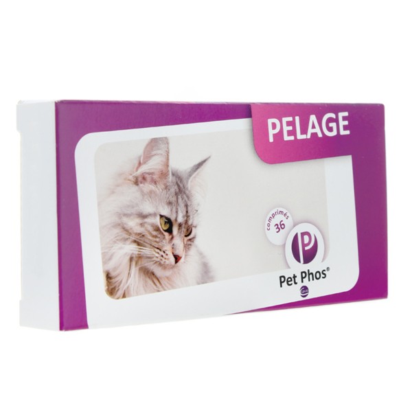 Pet Phos Pelage Chat comprimés