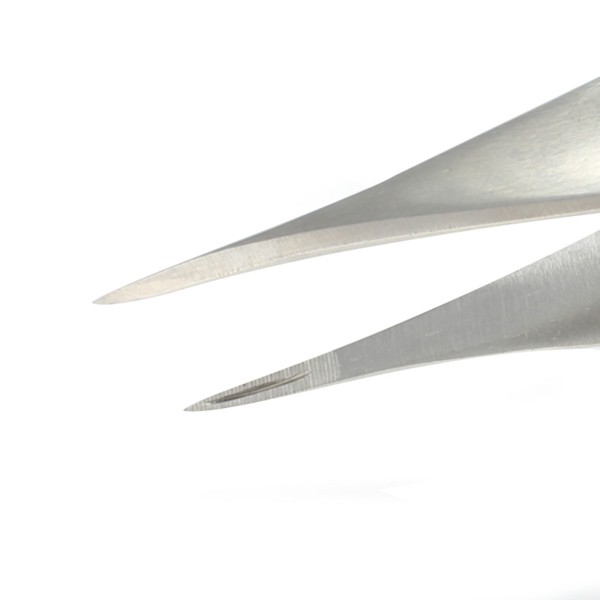 Holtex pince à écharde Feilchenfeld