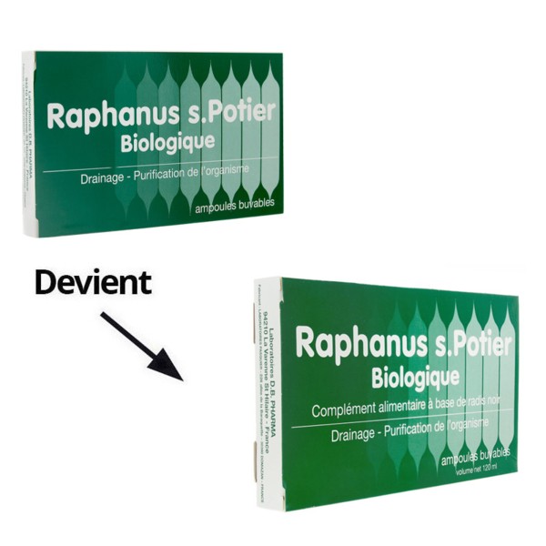 Raphanus S.Potier biologique 12 ampoules Radis noir Drainage