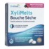 XyliMelts Bouche sèche fruits rouges