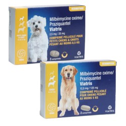 Milbémycine Praziquantel Viatris vermifuge chien