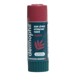 Dermophil Indien stick lèvre hydratant teinté pourpre