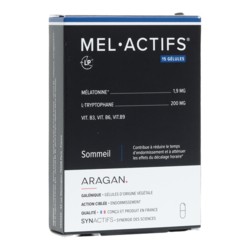 Aragan Mel Actifs gélules