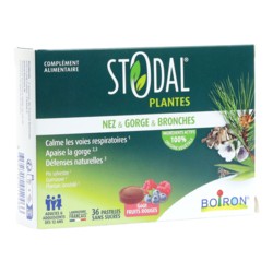 Stodal Plantes Nez gorge bronches pastilles fruits rouges