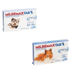 Pharma360 - Milbemax Tab 2 Comprimés pour Chats 2kg+ - Vermifuge Efficace  ELANCO