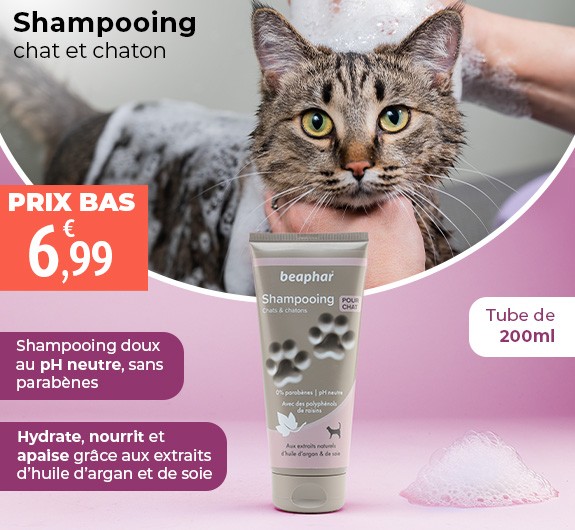 Prix bas Beaphar Shampooing chat et chaton