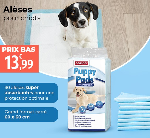Prix bas Puppy Pads alèses pour chiots Beaphar