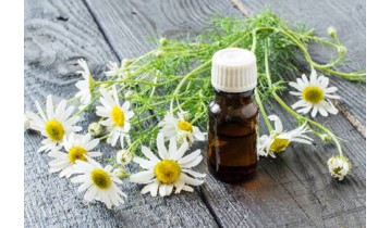 Huile essentielle de Camomille romaine ou Camomille noble