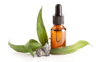 Huile essentielle d'Eucalyptus globulus