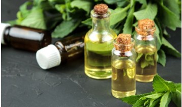 Huile essentielle de Menthe des champs