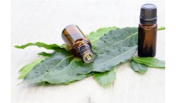 Huile essentielle de Laurier noble