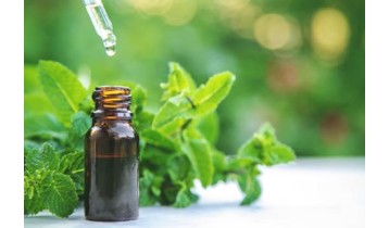 Huile essentielle de Menthe poivrée