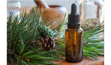 Huile essentielle de Pin Sylvestre