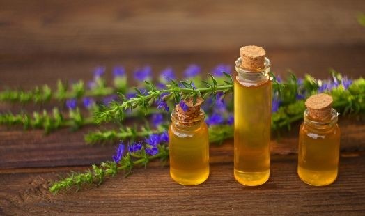 Huile essentielle d'Hysope couchée