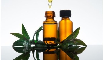 Huile essentielle de Myrte